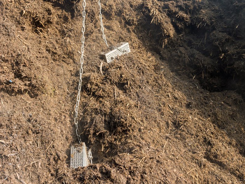 Einsetzen der Behälter in die Kompost-Miete zur Hygieneprozessprüfung.