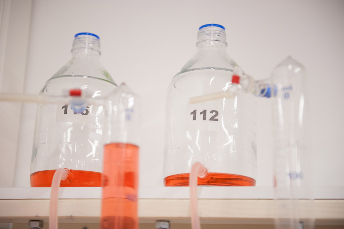 Überprüfung der Gaserträge und Methangehalte